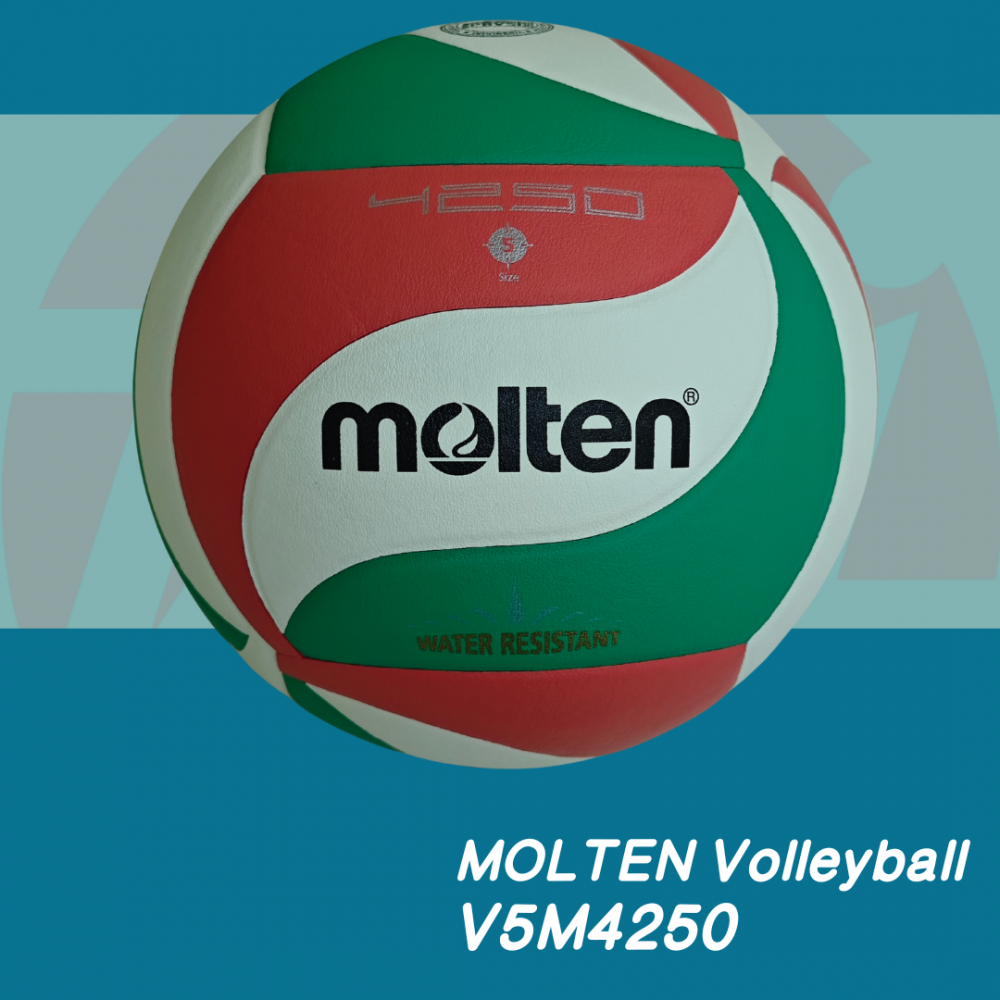 Molten Volley Ball